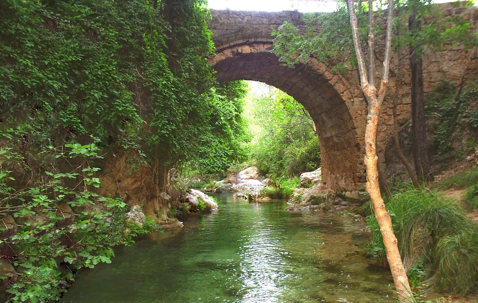 un puente con historia